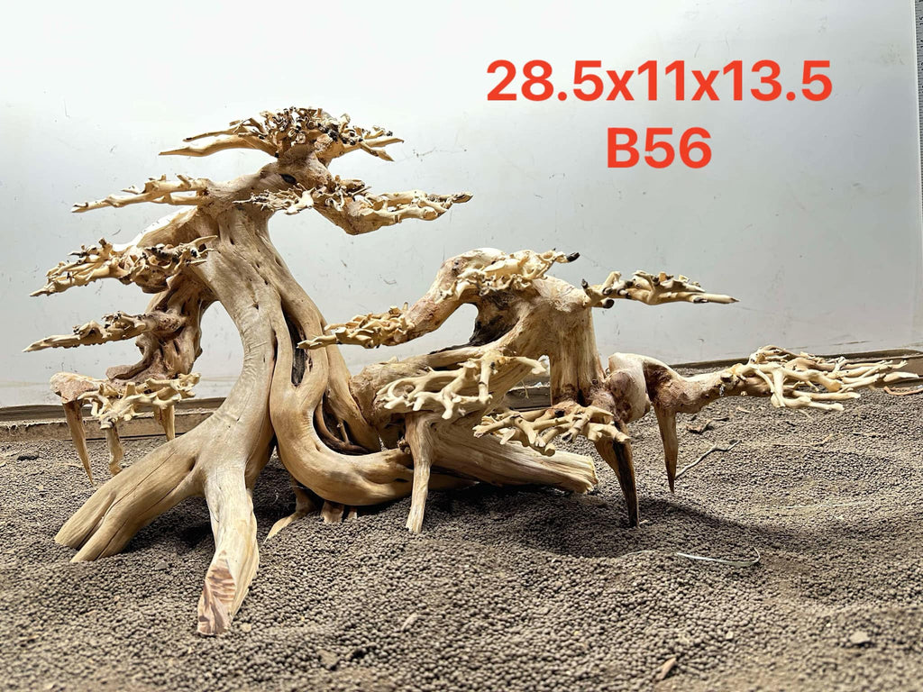 A4E72CBA-74A4-4A4C-88D5-