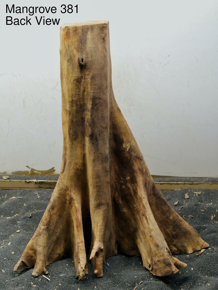Mangrove Tree Stump 381