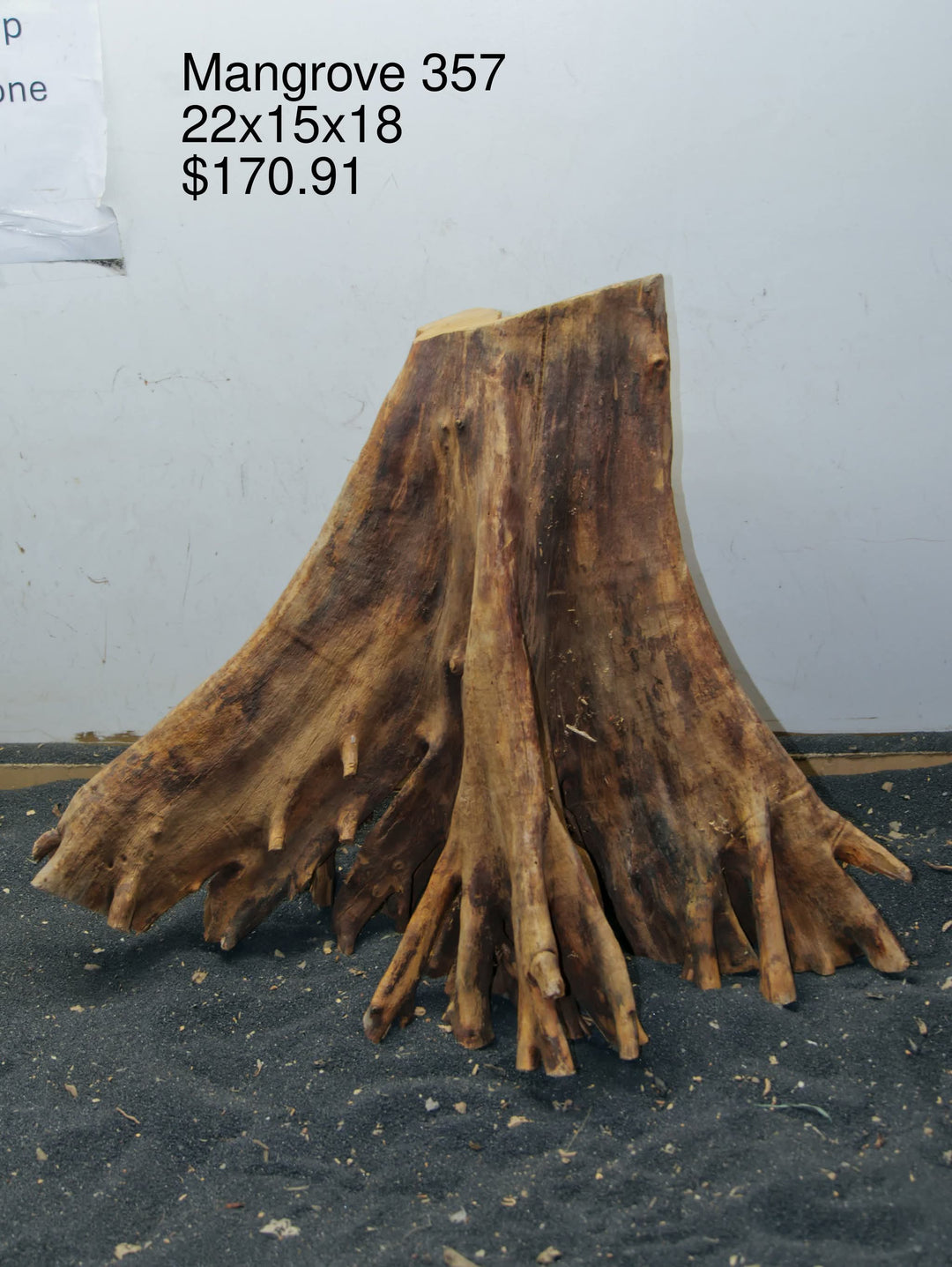 Mangrove Tree Stump 357