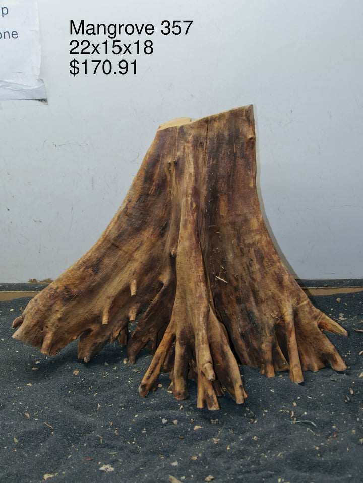 Mangrove Tree Stump 357