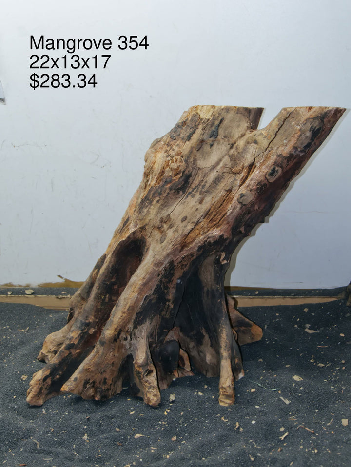 Mangrove Tree Stump 354