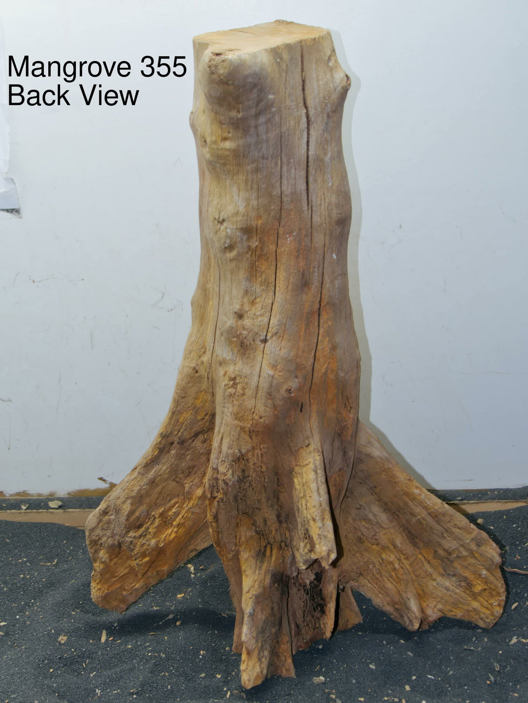 Mangrove Tree Stump 355