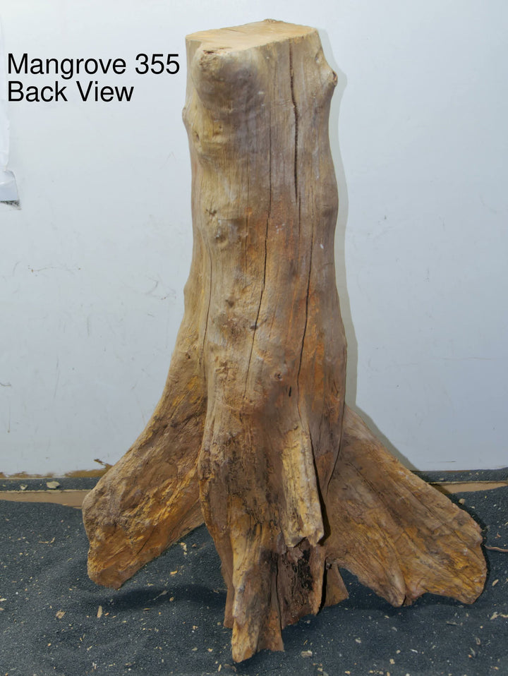 Mangrove Tree Stump 355