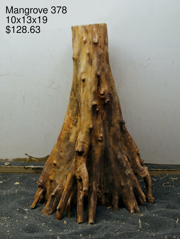 Mangrove Tree Stump 378