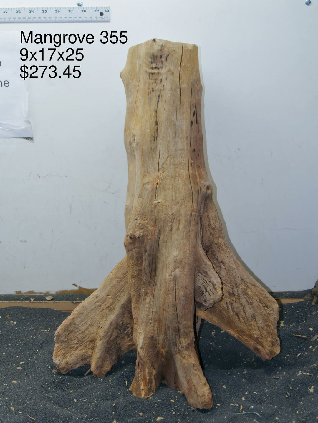 Mangrove Tree Stump 355