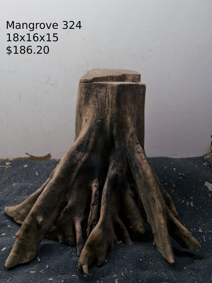 Mangrove Tree Stump 324