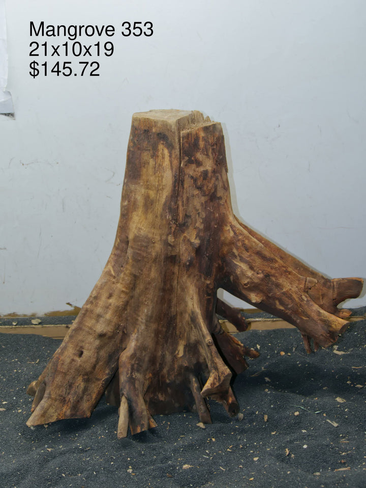 Mangrove Tree Stump 353
