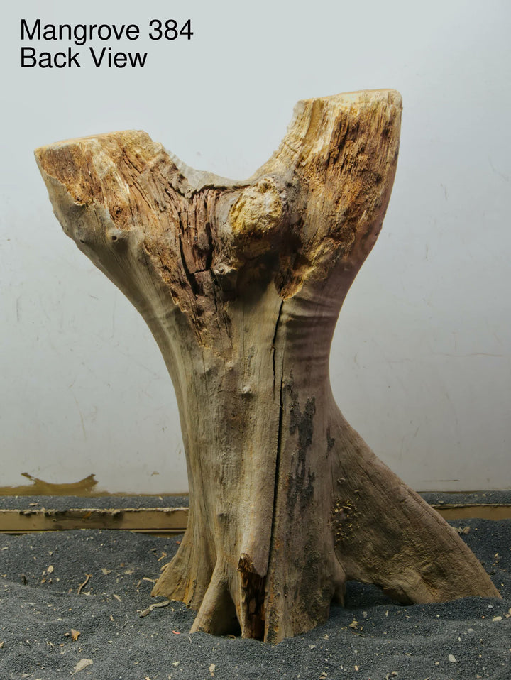 Mangrove Tree Stump 384