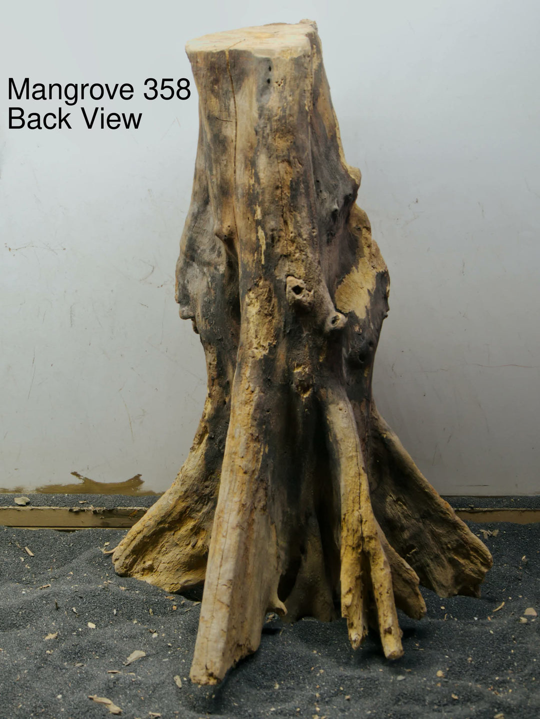 Mangrove Tree Stump 358