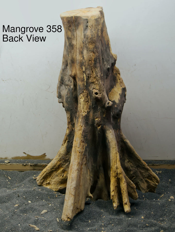 Mangrove Tree Stump 358