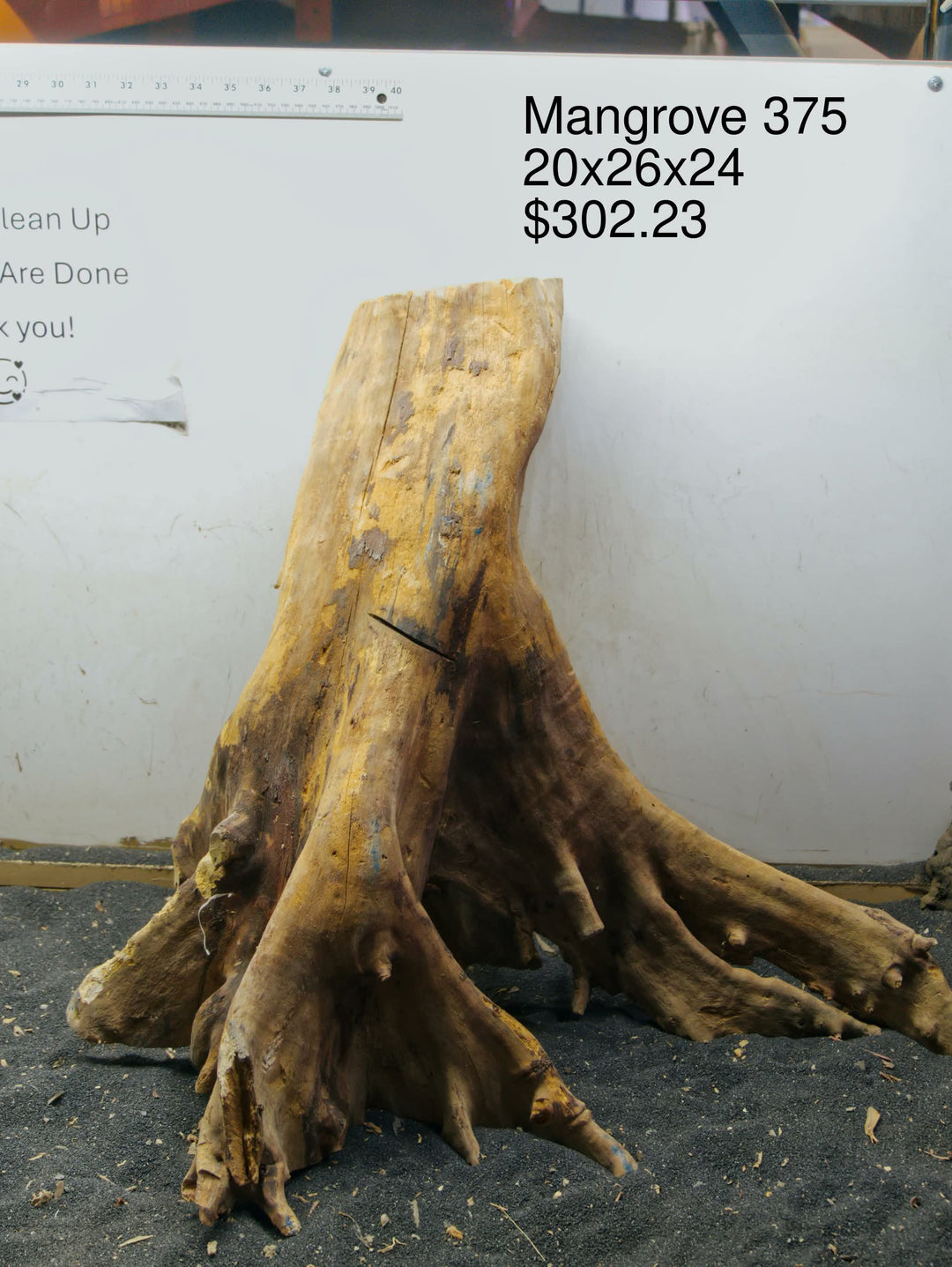 Mangrove Tree Stump 375