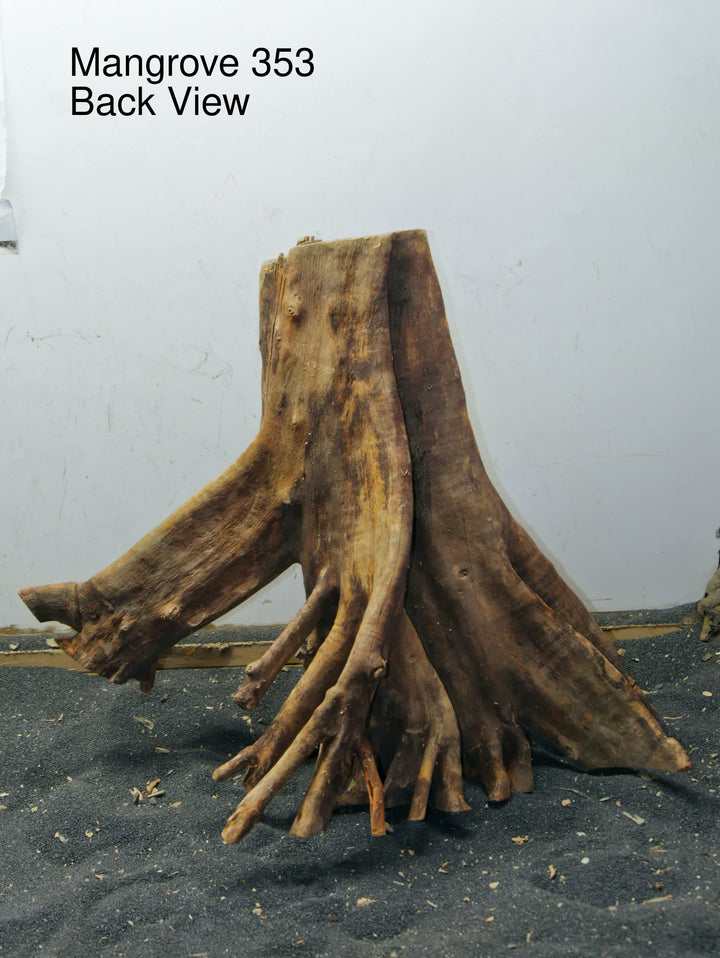 Mangrove Tree Stump 353