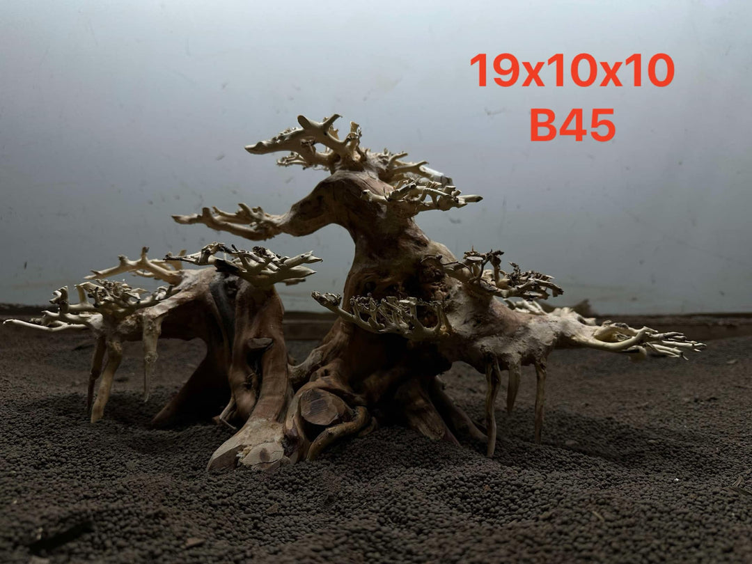 Bonsai Driftwood B45