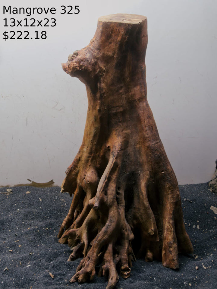 Mangrove Tree Stump 325