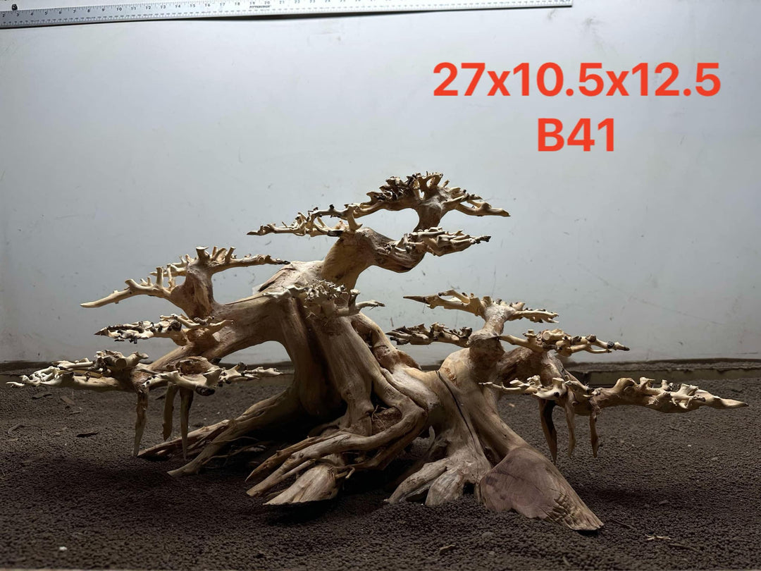 Bonsai Driftwood B41