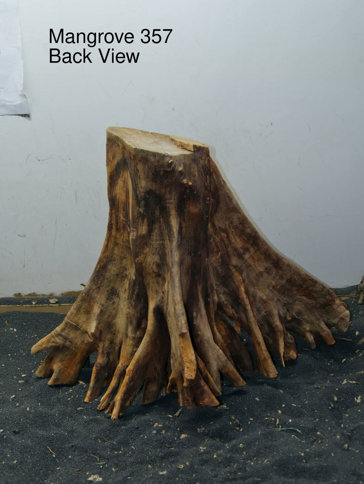 Mangrove Tree Stump 357