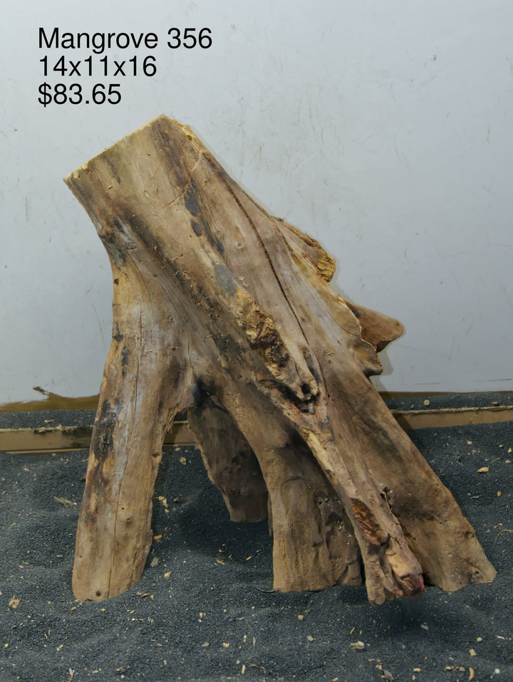 Mangrove Tree Stump 356