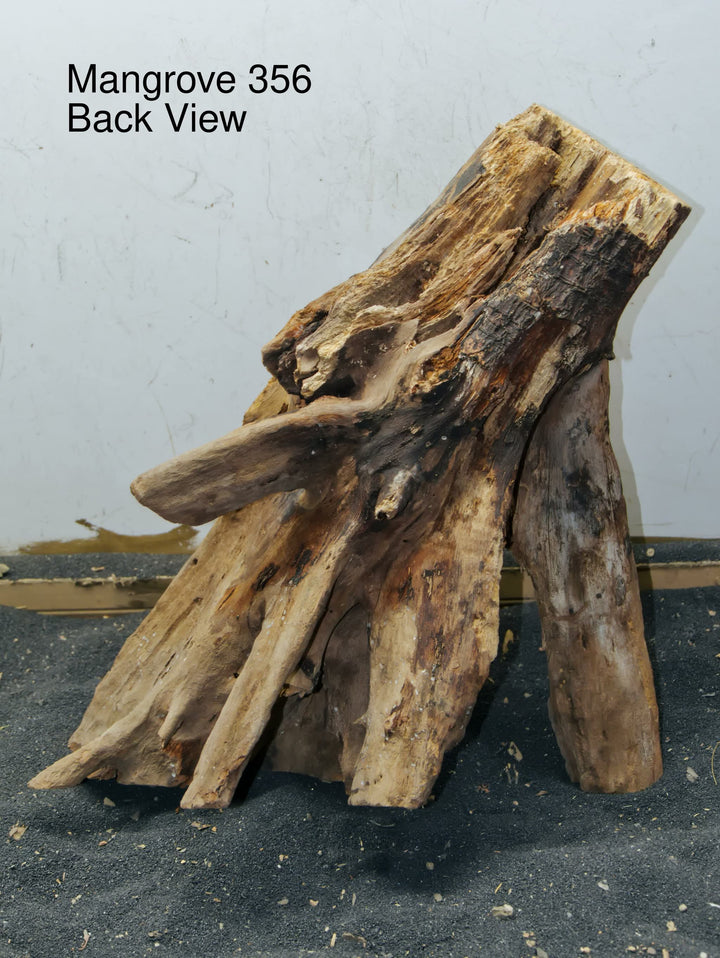 Mangrove Tree Stump 356