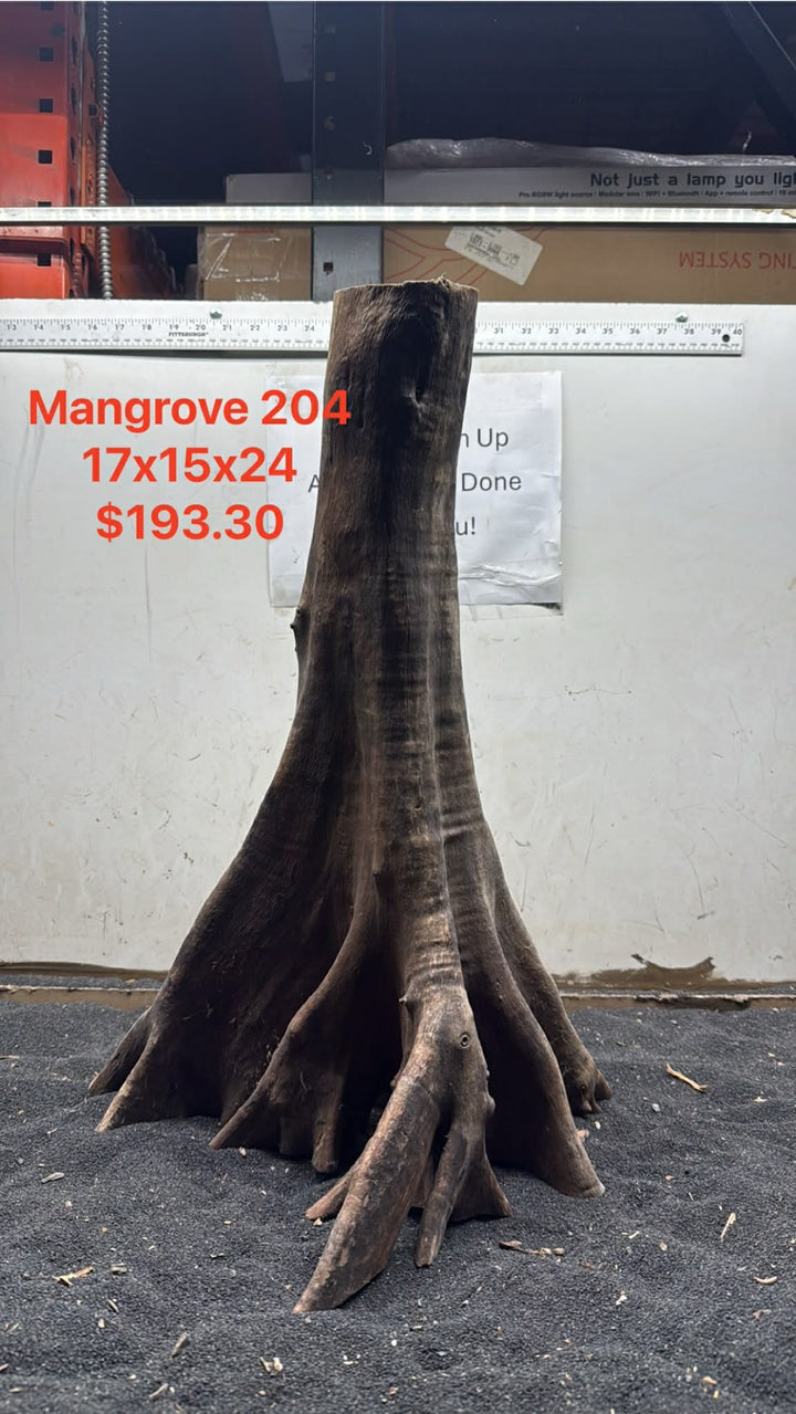 Mangrove Tree Stump 204