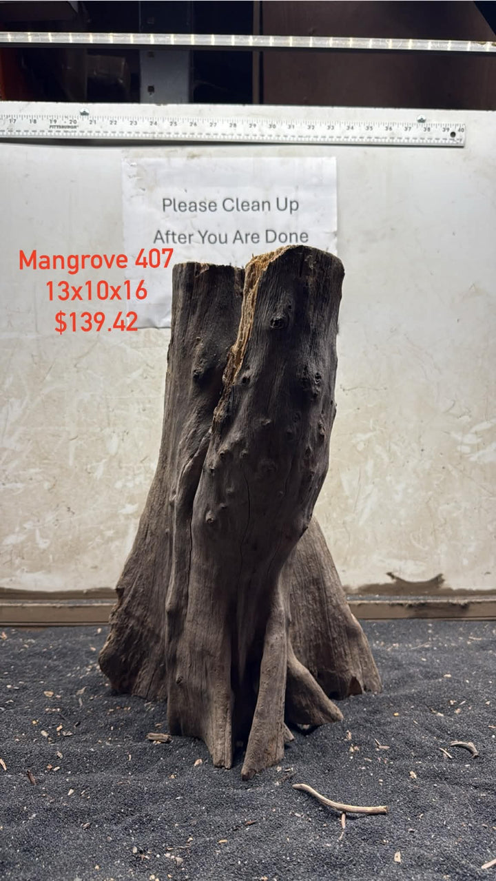 Mangrove Tree Stump 407