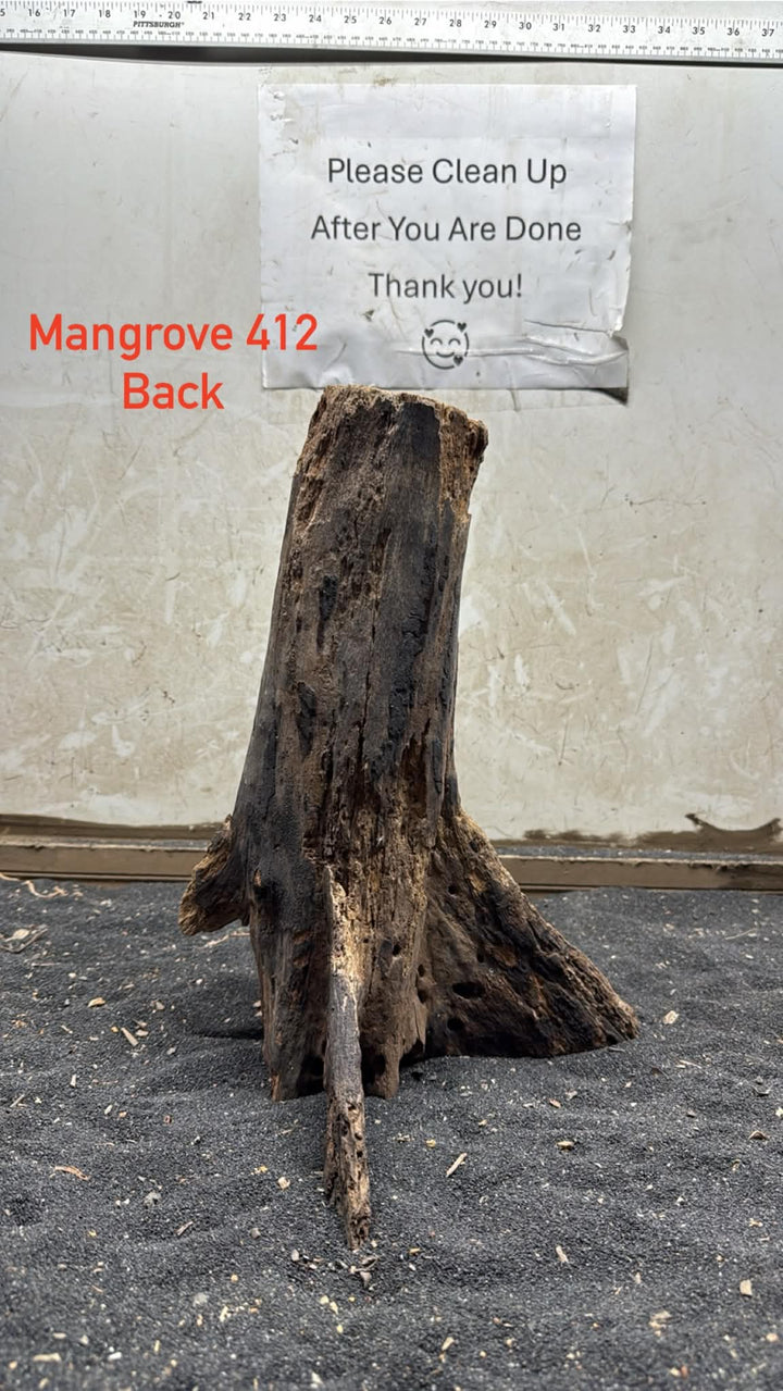 Mangrove Tree Stump 412