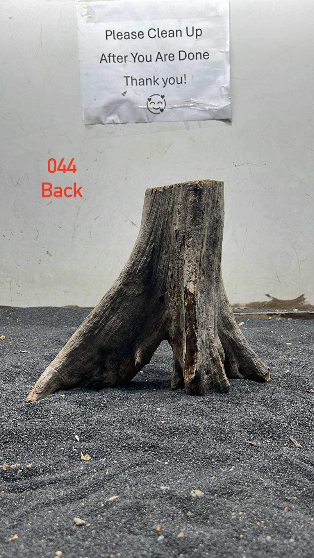 Hardwood Stump 044