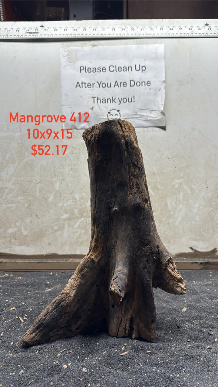 Mangrove Tree Stump 412