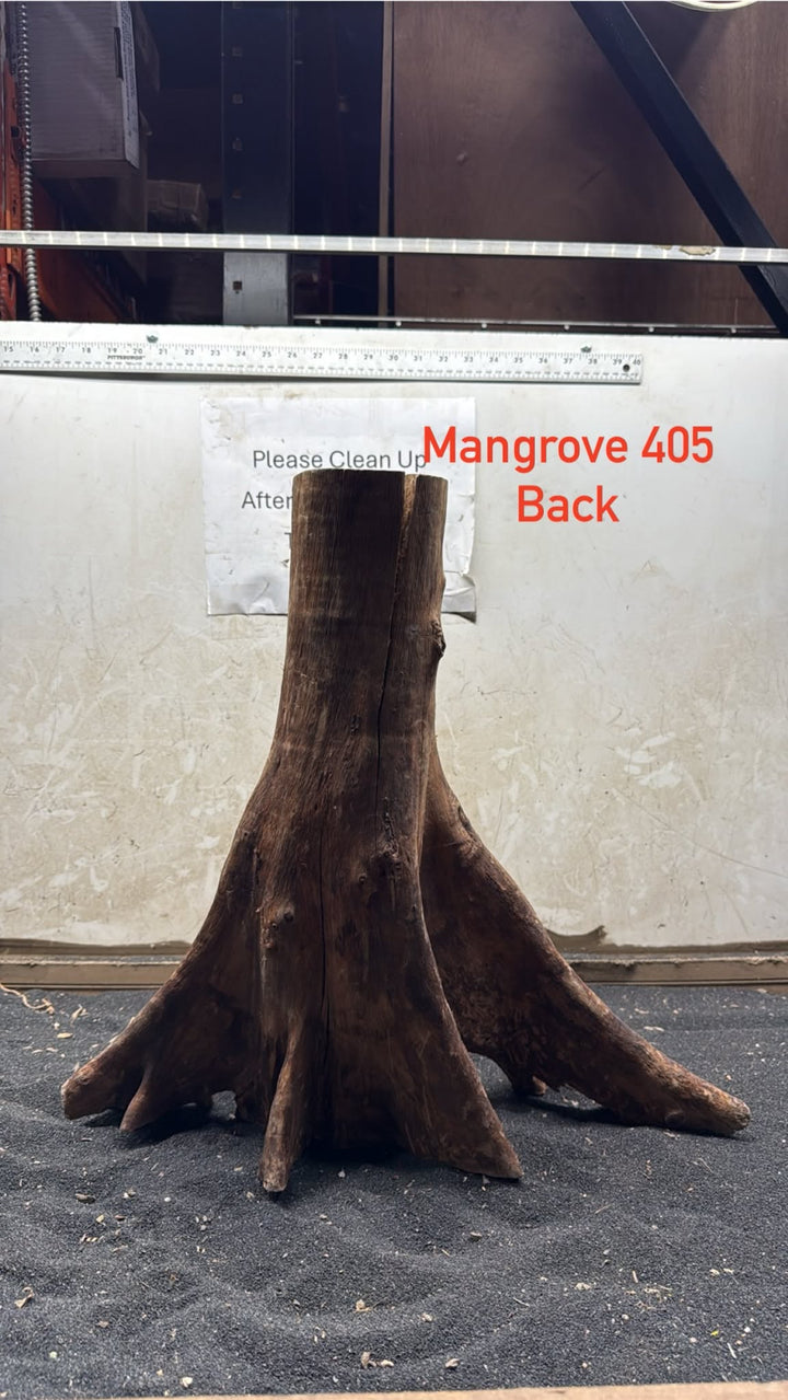 Mangrove Tree Stump 405