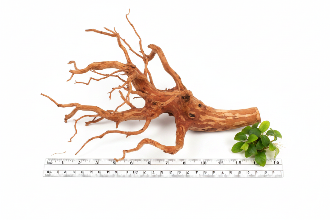 Brown Driftwood – Scale Reference