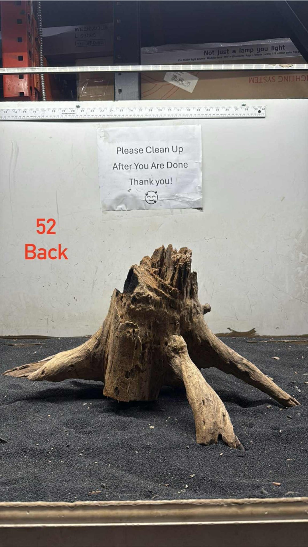 Hardwood Stump 052