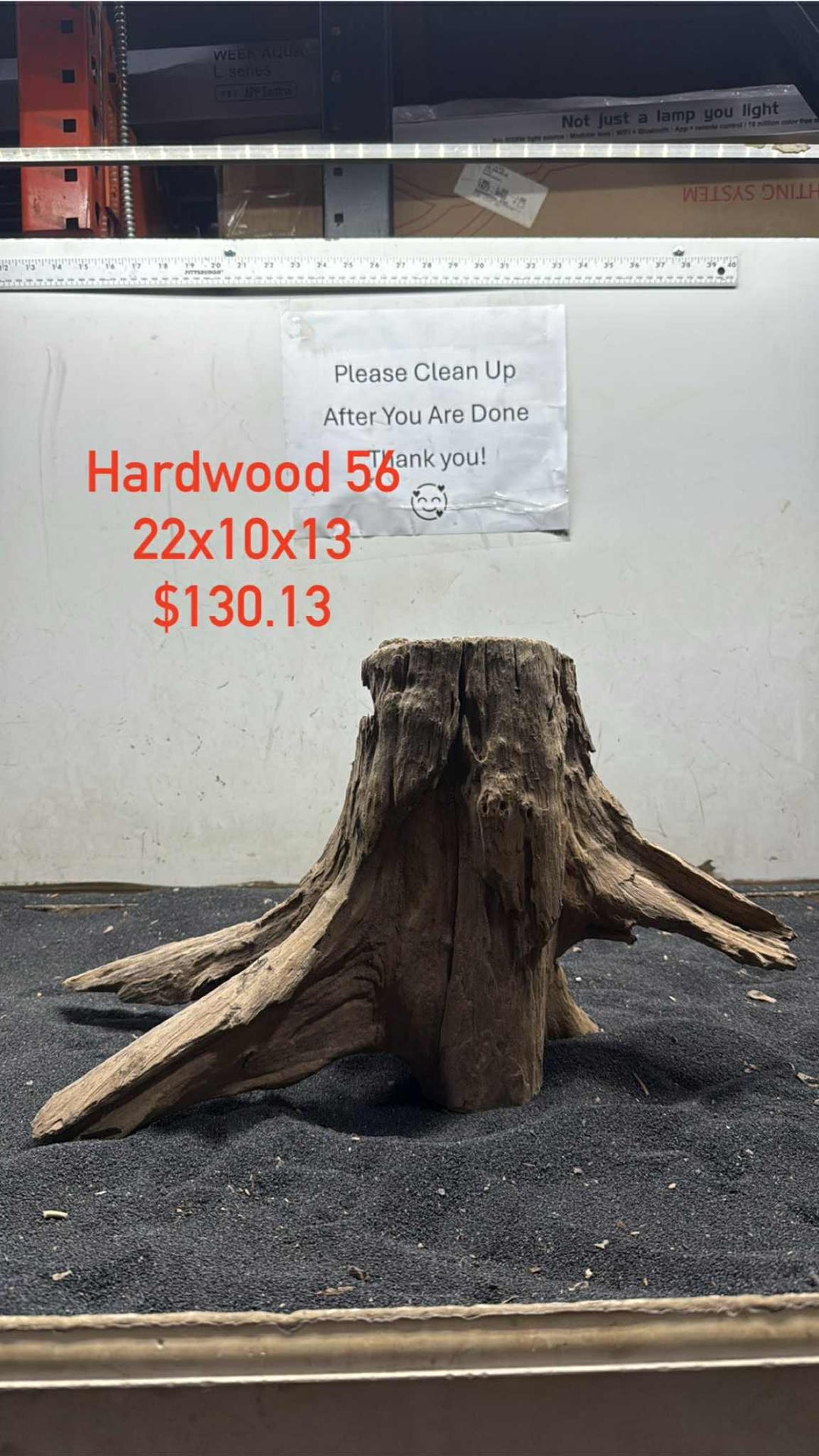 Hardwood Stump 056