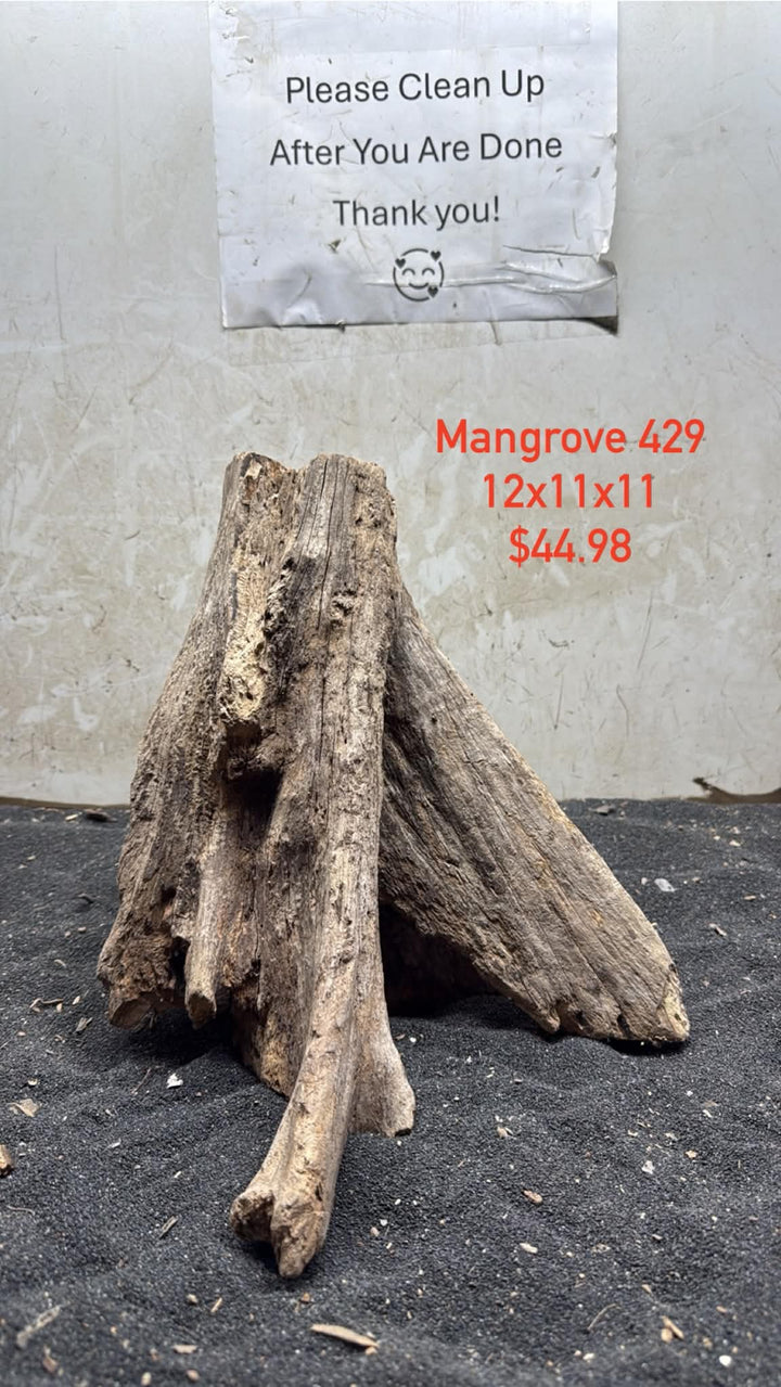 Mangrove Tree Stump 429