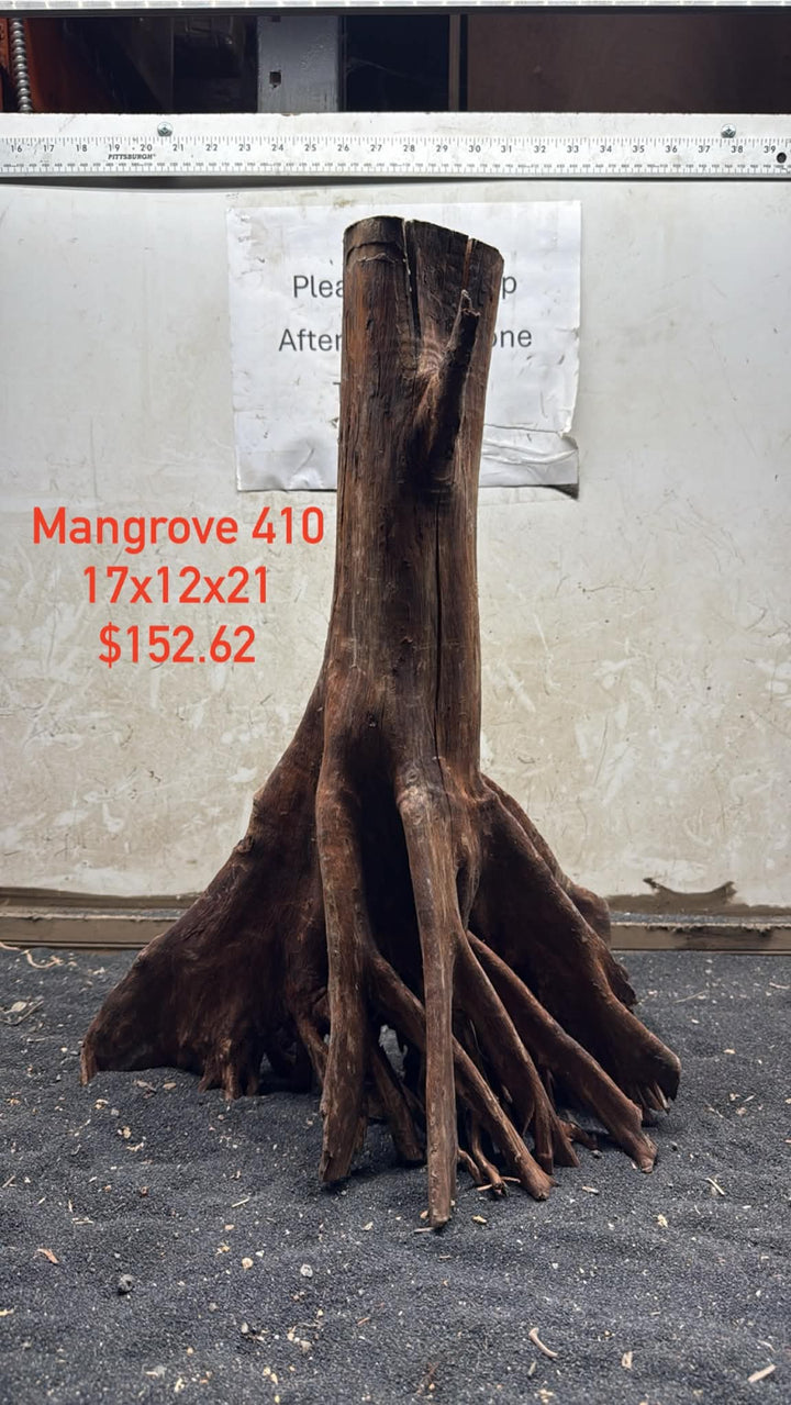 Mangrove Tree Stump 410