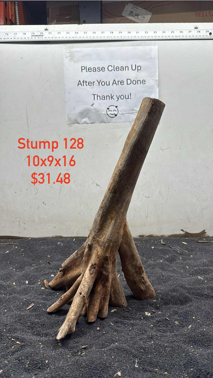 Mangrove Tree Stump 128