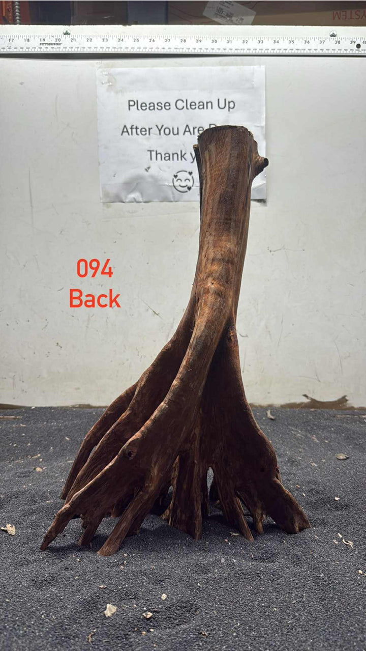 Mangrove Tree Stump 094