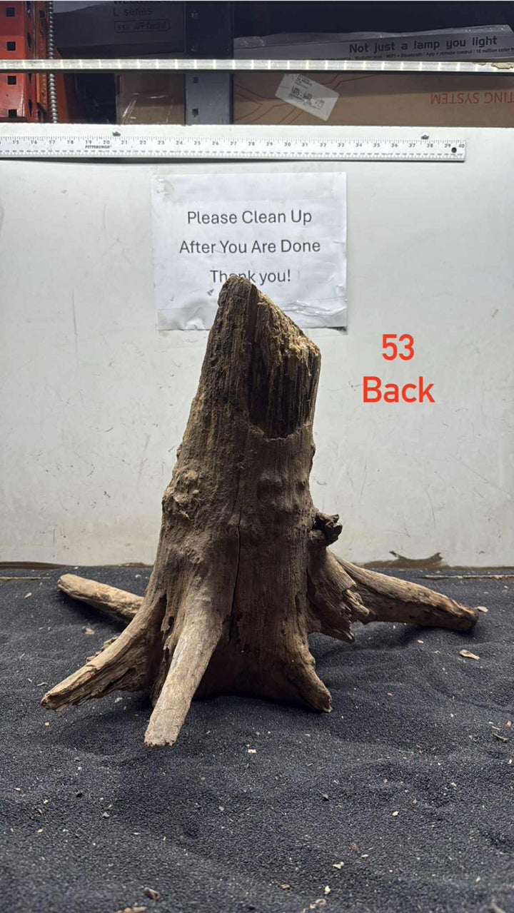 Hardwood Stump 053