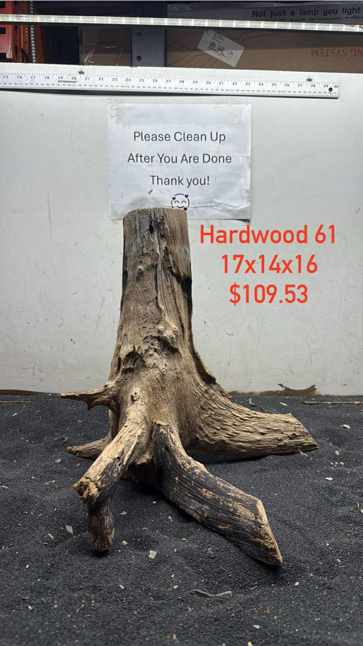 Hardwood Stump 061