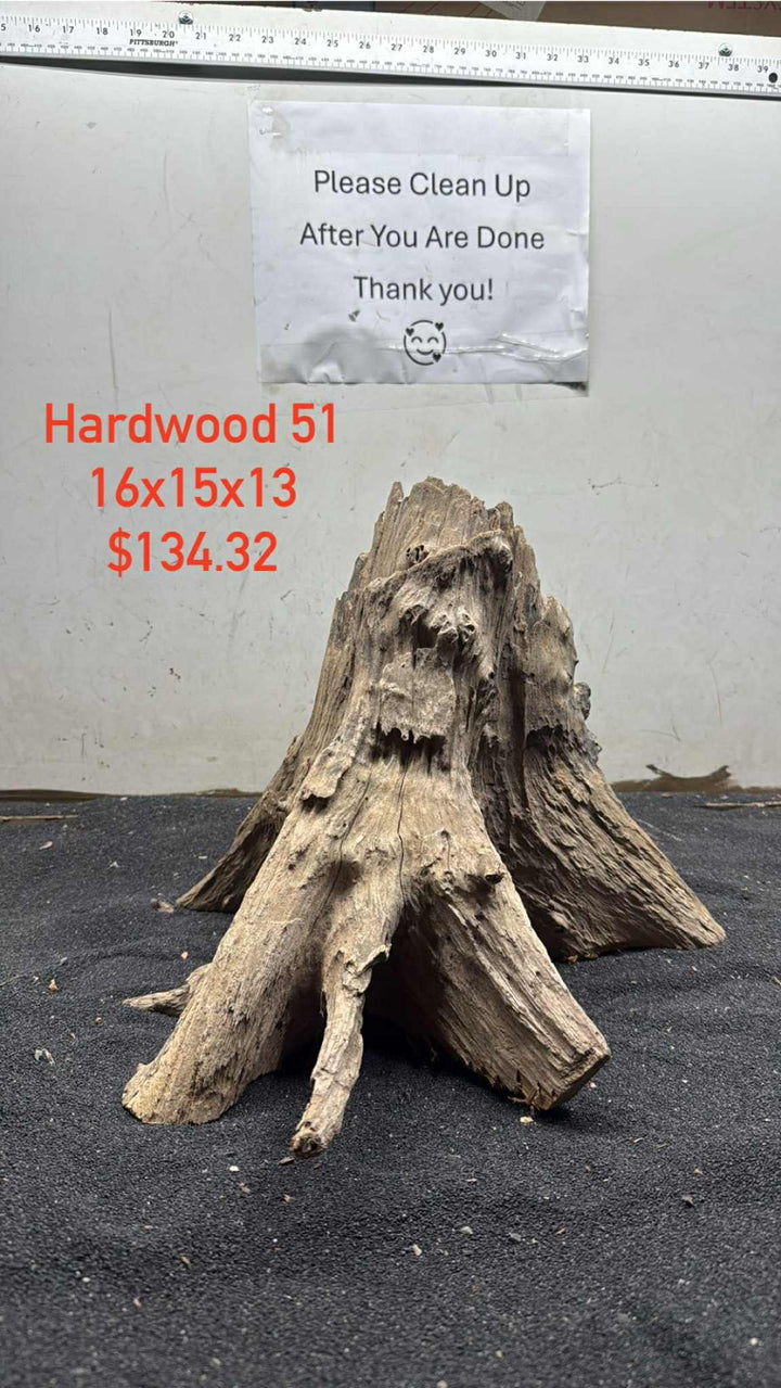 Hardwood Stump 051
