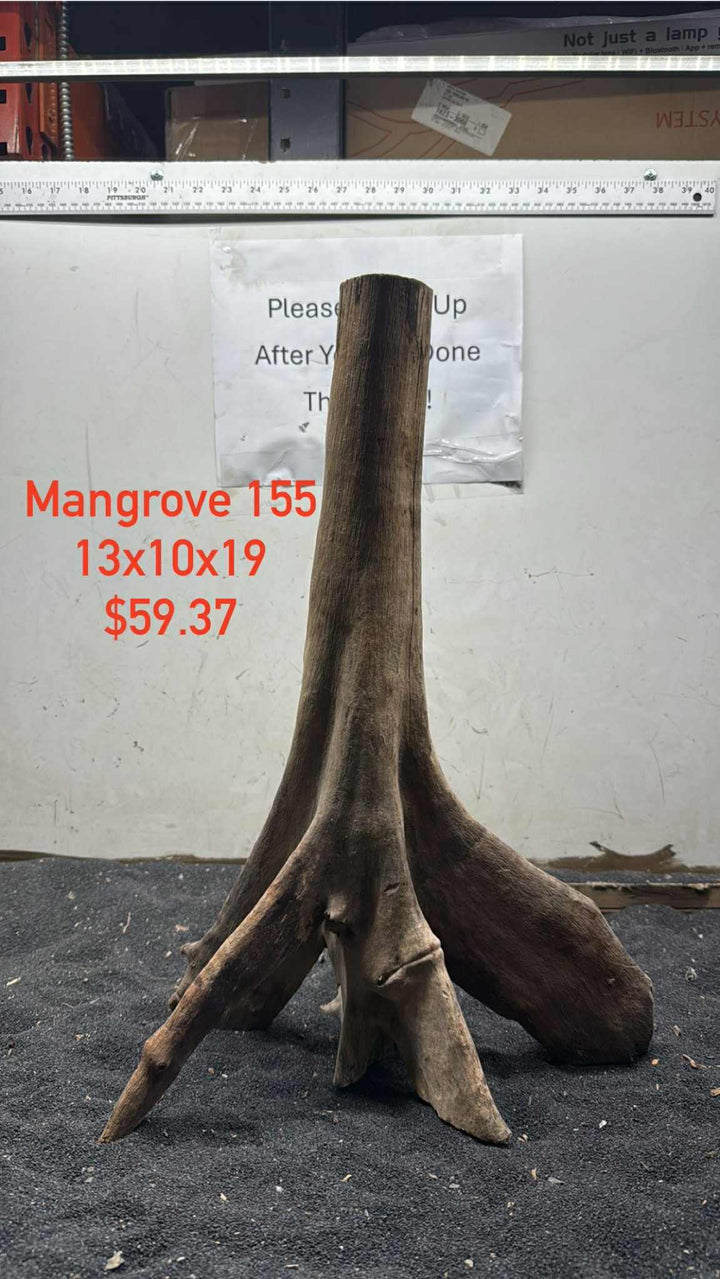 Mangrove Tree Stump 155