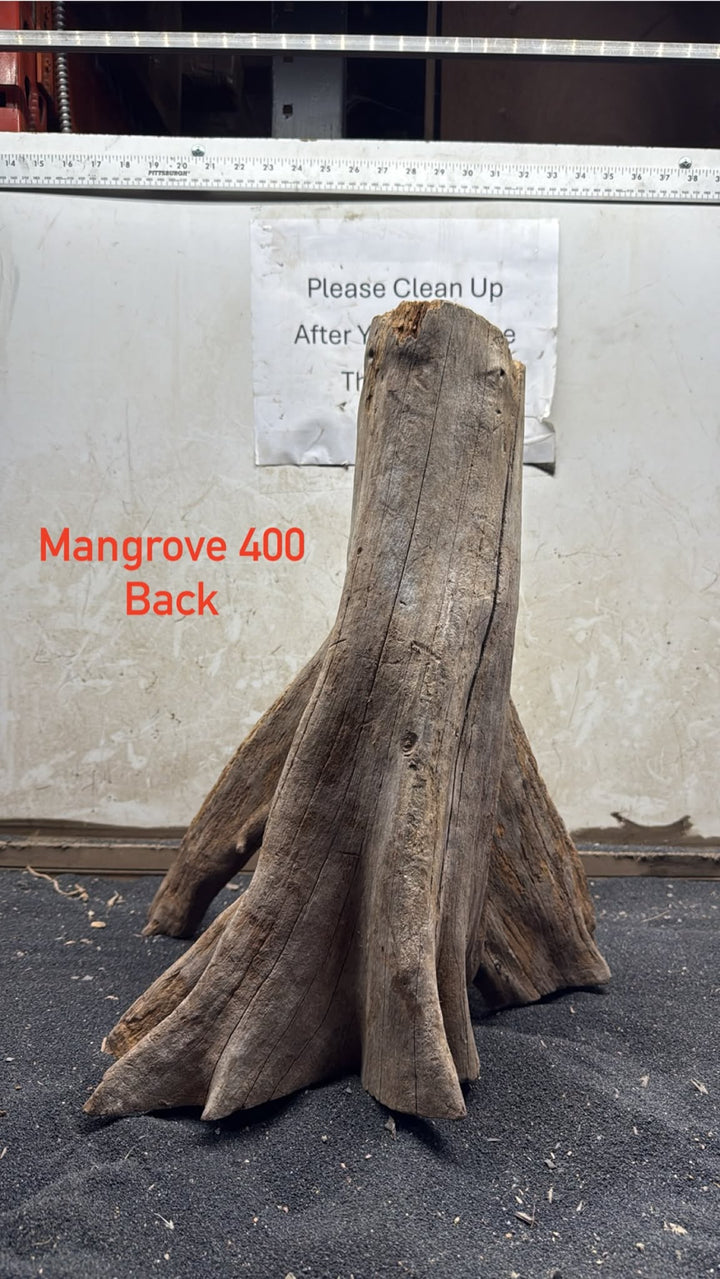 Mangrove Tree Stump 400