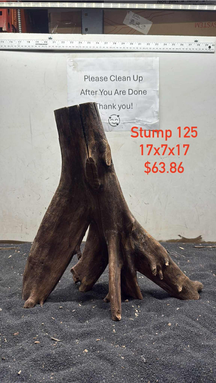 Mangrove Tree Stump 125