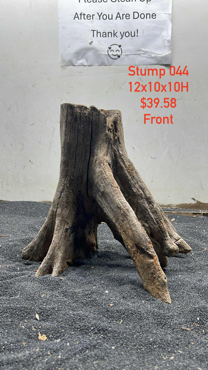 Hardwood Stump 044