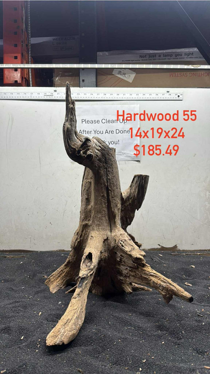 Hardwood Stump 055
