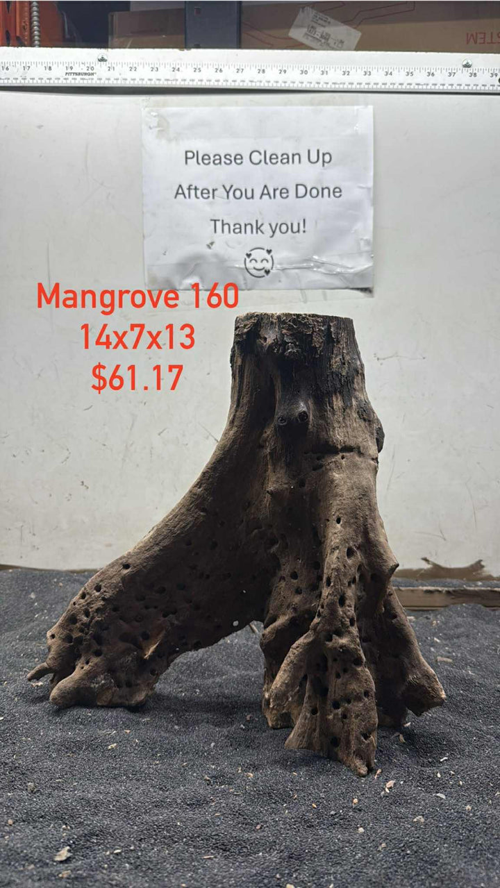 Mangrove Tree Stump 160