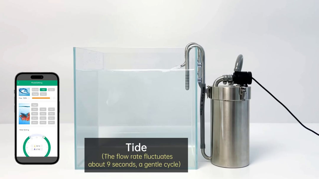 Week Aqua Stainless Steel Canister Filter