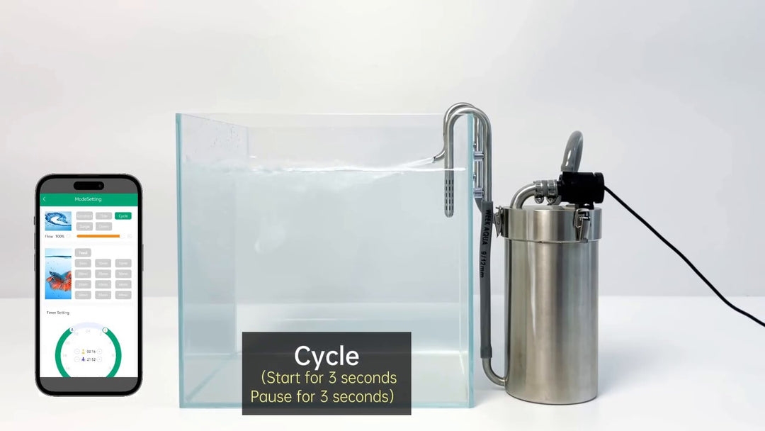 Week Aqua Stainless Steel Canister Filter