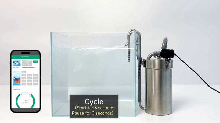 Week Aqua Stainless Steel Canister Filter