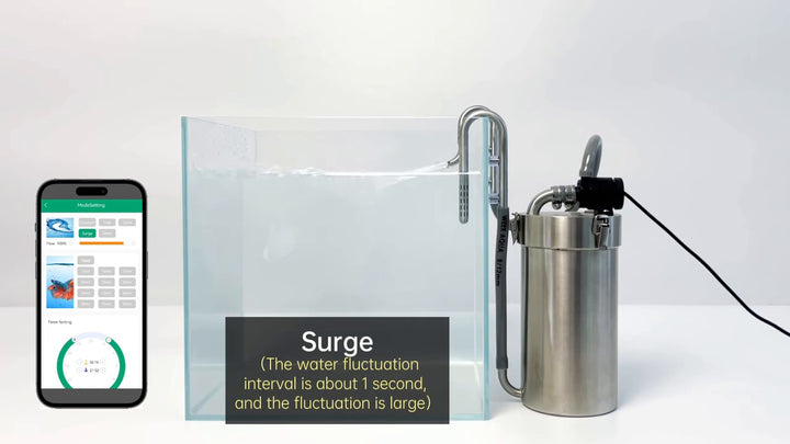 Week Aqua Stainless Steel Canister Filter
