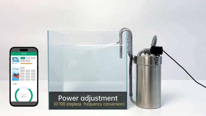 Week Aqua Stainless Steel Canister Filter