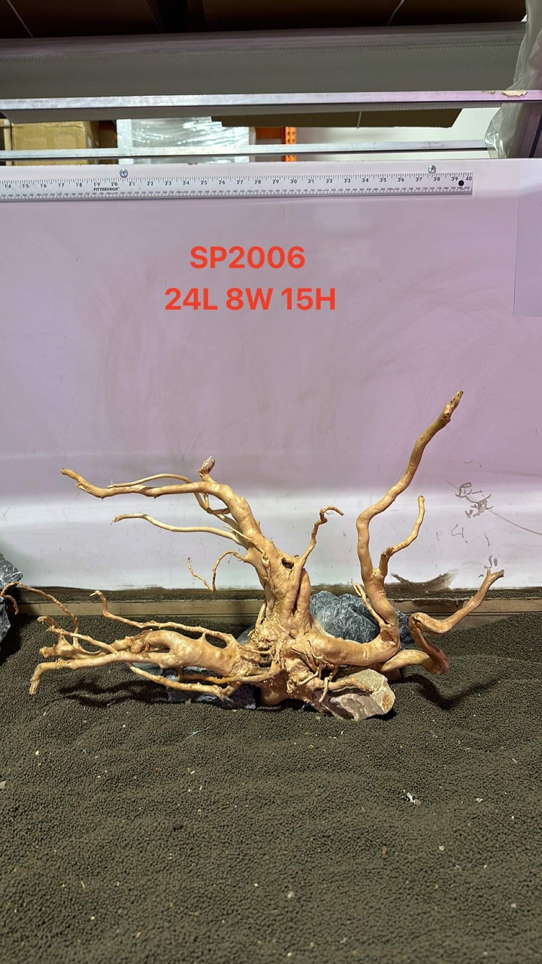 Spiderwood SP2006